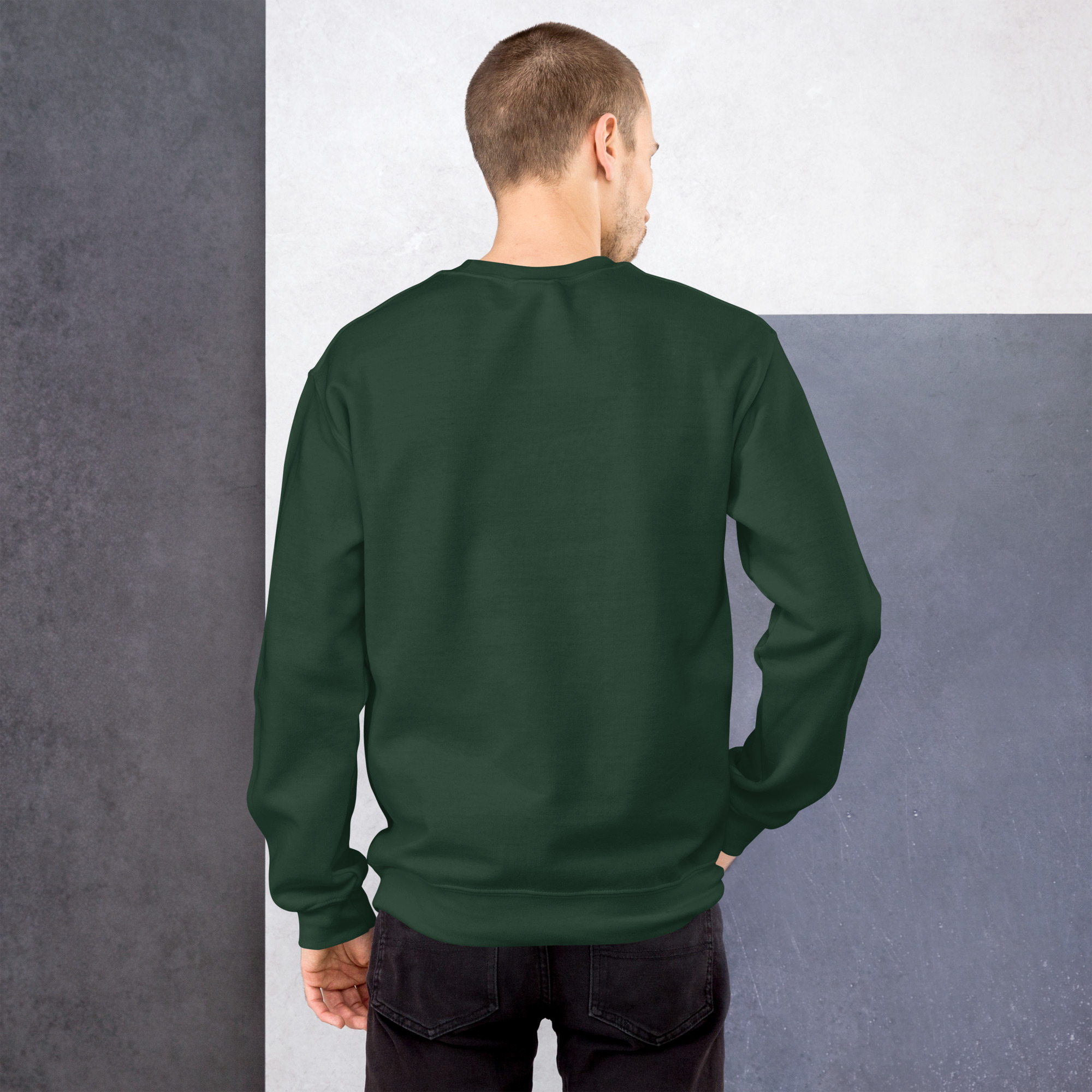 unisex-crew-neck-sweatshirt-forest-green-back-6944342ad95dc.jpg
